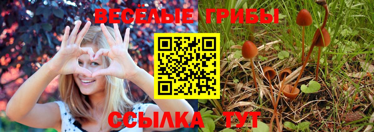 Псилоцибиновые грибы прущие грибы Михайловка